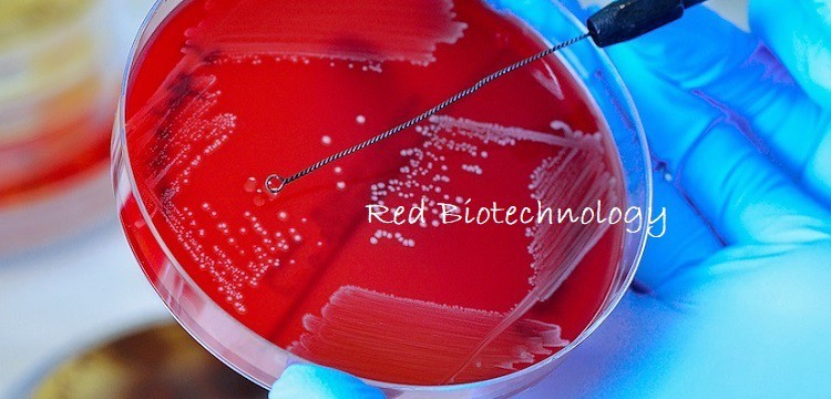 2020: Año de la Biotecnología Roja Humana