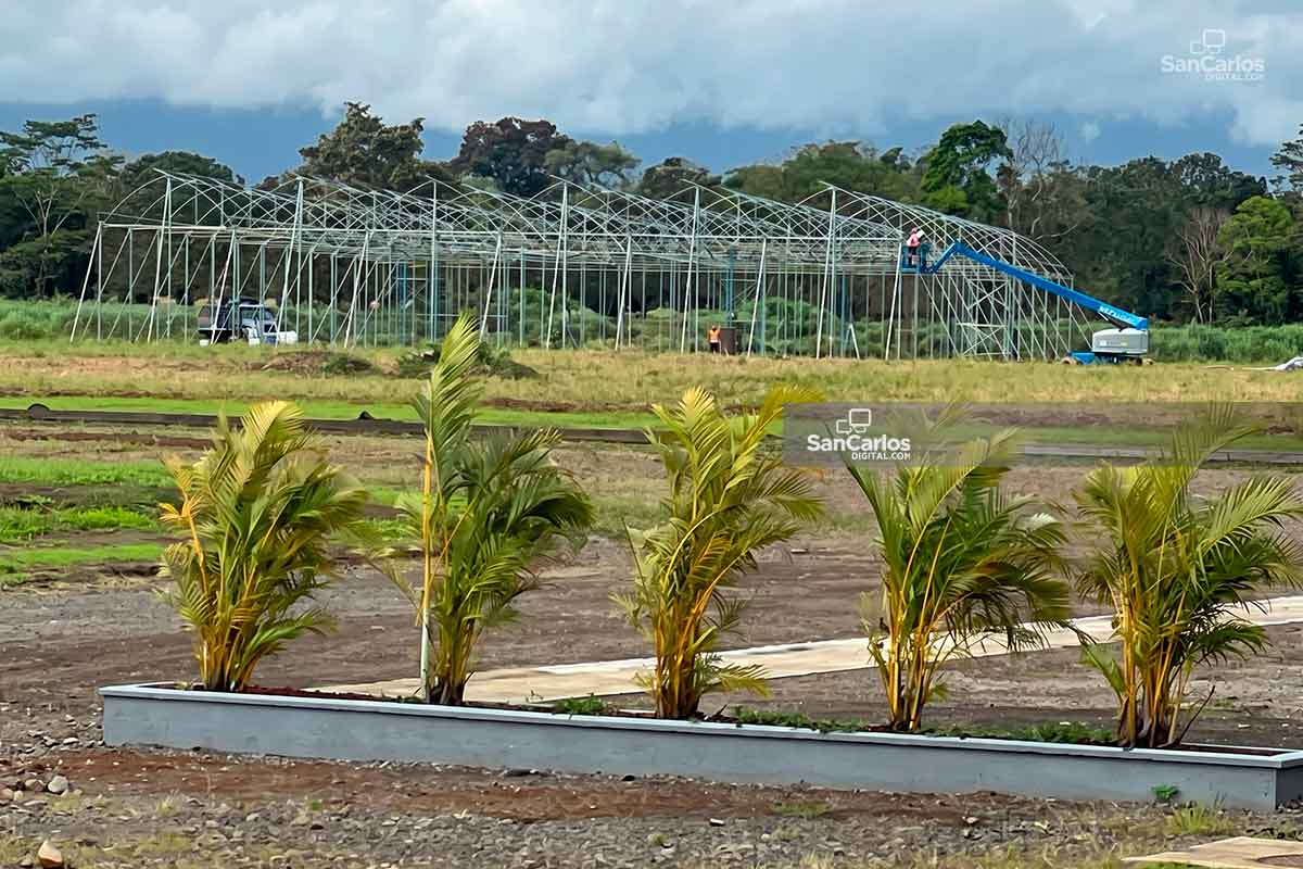 Costa Rica impulsa la innovación agroindustrial para mantenerse como líder mundial en exportaciones agrícolas